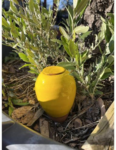 Oya terre cuite émaillée jaune