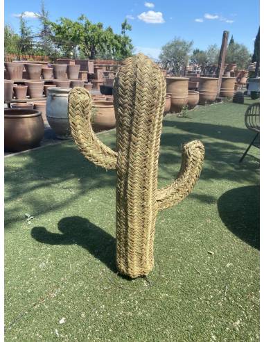 Cactus tressé en fibre naturelle