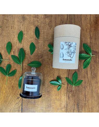 Grande bougie sous cloche AMANDE
